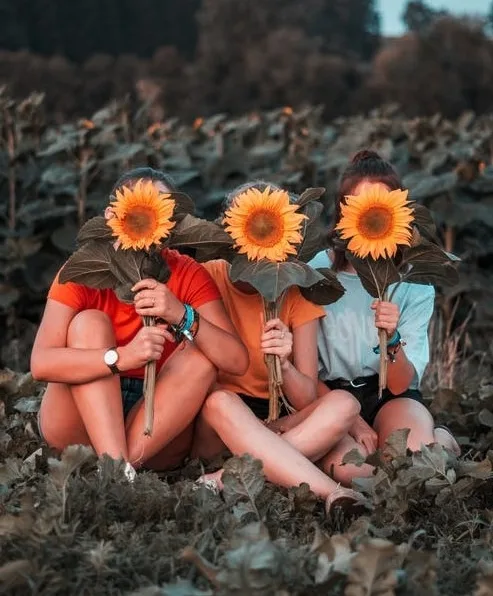 Foto Profile Couple Sahabat Muka Tertutup Bunga Matahari
