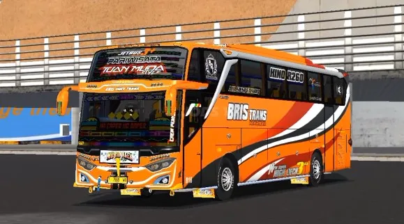 Mod Bus Full Strobo KP FS IT