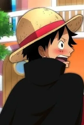 Foto Profil Couple Anime One Piece