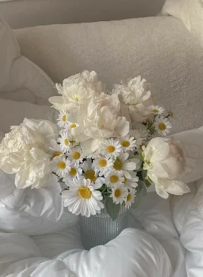 Foto White Flower Aesthetic