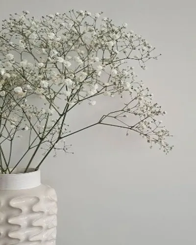 Foto White Flower Aesthetic