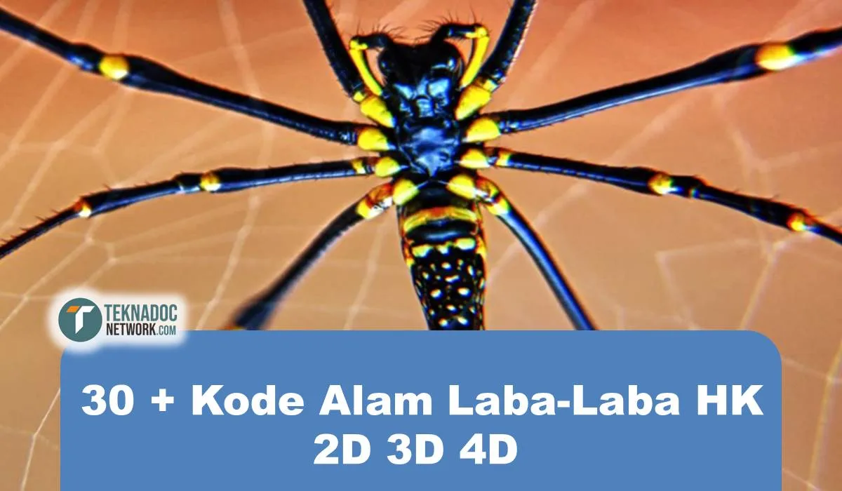 30+ Kode Alam Laba-Laba HK 2D 3D 4D Terbaru
