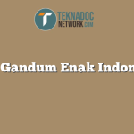 Roti Gandum Enak Indonesia