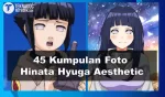 45 Kumpulan Foto Hinata Hyuga Aesthetic