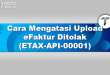 Cara Mengatasi Upload eFaktur Ditolak (ETAX-API-00001)