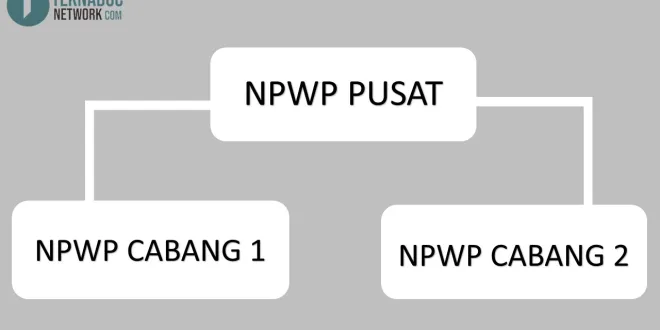 Cara Mengisi Status Pusat Cabang NPWP