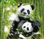 Panda bayi di antara panda dewasa